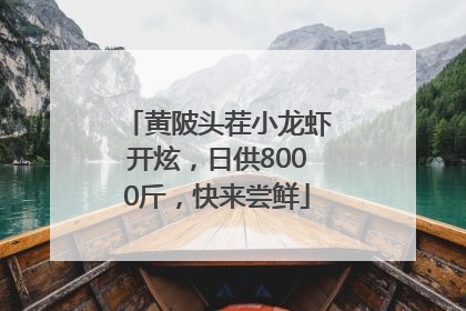黄陂头茬小龙虾开炫，日供8000斤，快来尝鲜