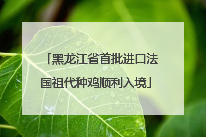 黑龙江省首批进口法国祖代种鸡顺利入境