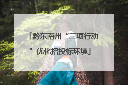黔东南州“三项行动”优化招投标环境