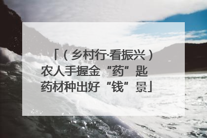 （乡村行·看振兴）农人手握金“药”匙 药材种出好“钱”景
