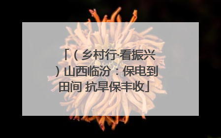 （乡村行·看振兴）山西临汾：保电到田间 抗旱保丰收
