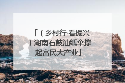 （乡村行·看振兴）湖南石鼓油纸伞撑起富民大产业