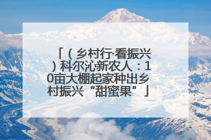 （乡村行·看振兴）科尔沁新农人：10亩大棚起家种出乡村振兴“甜蜜果”