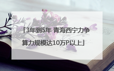 3年到5年 青海西宁力争算力规模达10万P以上