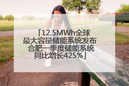 12.5MWh全球最大容量储能系统发布 合肥一季度储能系统同比增长425%