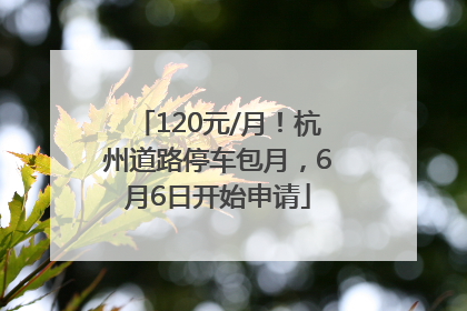 120元/月！杭州道路停车包月，6月6日开始申请