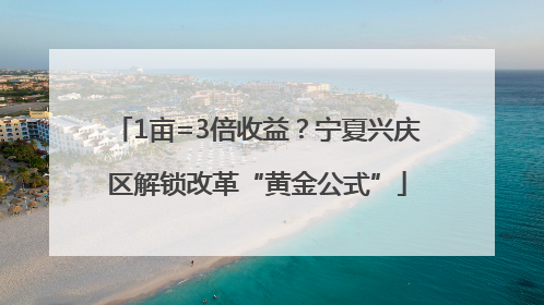 1亩=3倍收益？宁夏兴庆区解锁改革“黄金公式”