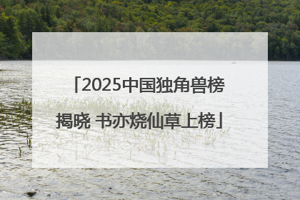 2025中国独角兽榜揭晓 书亦烧仙草上榜