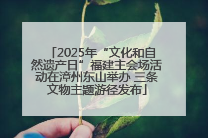 2025年“文化和自然遗产日”福建主会场活动在漳州东山举办 三条文物主题游径发布