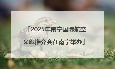 2025年南宁国际航空文旅推介会在南宁举办