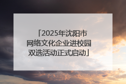 2025年沈阳市网络文化企业进校园双选活动正式启动