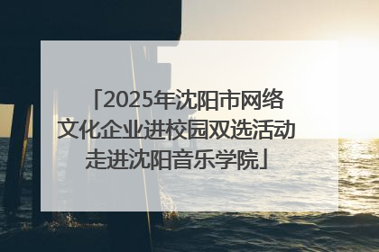 2025年沈阳市网络文化企业进校园双选活动走进沈阳音乐学院