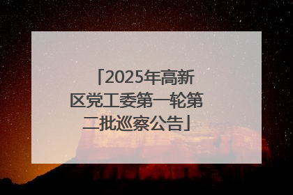 2025年高新区党工委第一轮第二批巡察公告