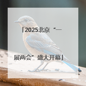 2025北京“一展两会”盛大开幕