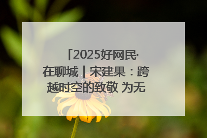 2025好网民·在聊城｜宋建果：跨越时空的致敬 为无名烈士“正名”