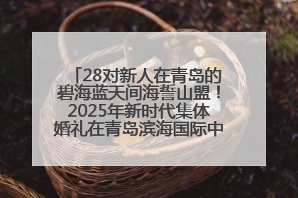 28对新人在青岛的碧海蓝天间海誓山盟！2025年新时代集体婚礼在青岛滨海国际中心文明实践广场举行