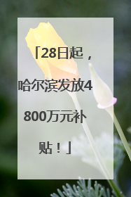 28日起，哈尔滨发放4800万元补贴！