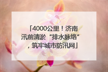 4000公里！济南汛前清淤“排水脉络”，筑牢城市防汛网