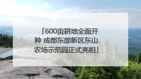 600亩耕地全面开种 成都东部新区东山农场示范园正式亮相
