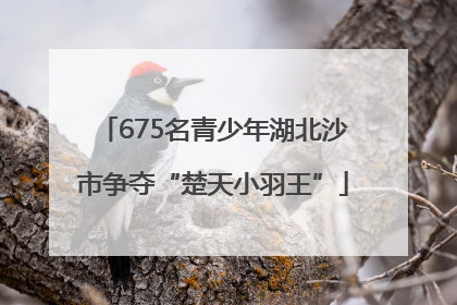 675名青少年湖北沙市争夺“楚天小羽王”