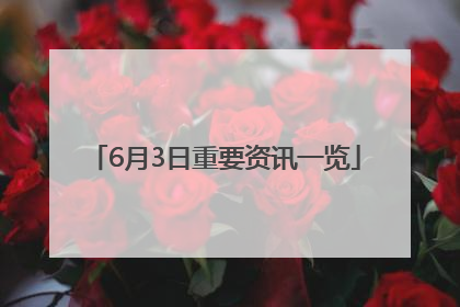 6月3日重要资讯一览