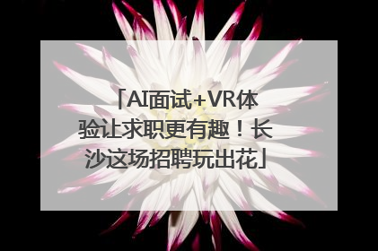 AI面试+VR体验让求职更有趣！长沙这场招聘玩出花