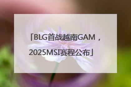 BLG首战越南GAM，2025MSI赛程公布