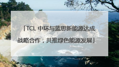 TCL 中环与蓝思新能源达成战略合作，共推绿色能源发展