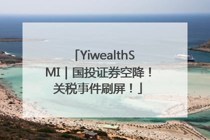 YiwealthSMI｜国投证券空降！关税事件刷屏！